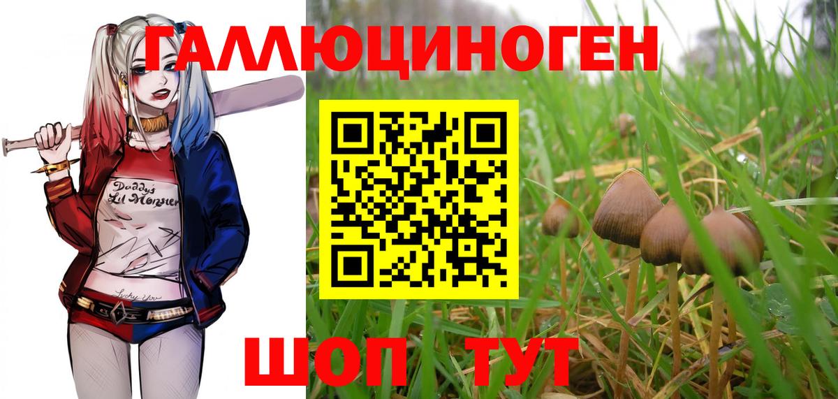 Псилоцибиновые грибы Psilocybe  дарнет шоп  Вход с VPN  Тихвин  Галлюциногенные грибы Magic Shrooms 