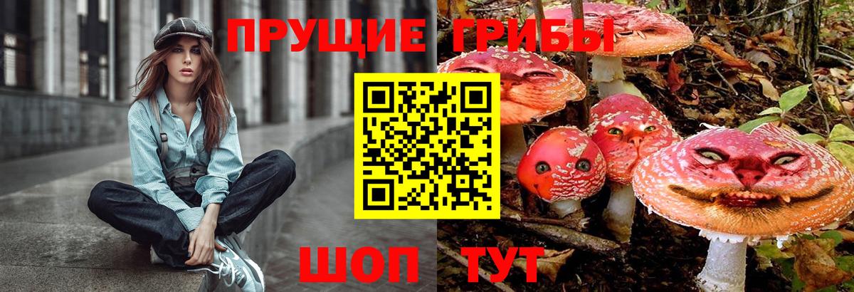 Псилоцибиновые грибы Psilocybine cubensis Тихвин